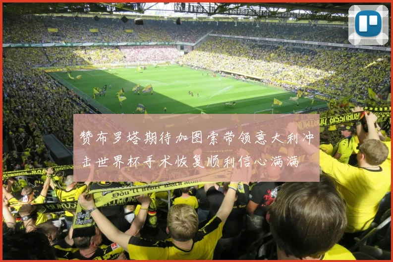 赞布罗塔期待加图索带领意大利冲击世界杯手术恢复顺利信心满满